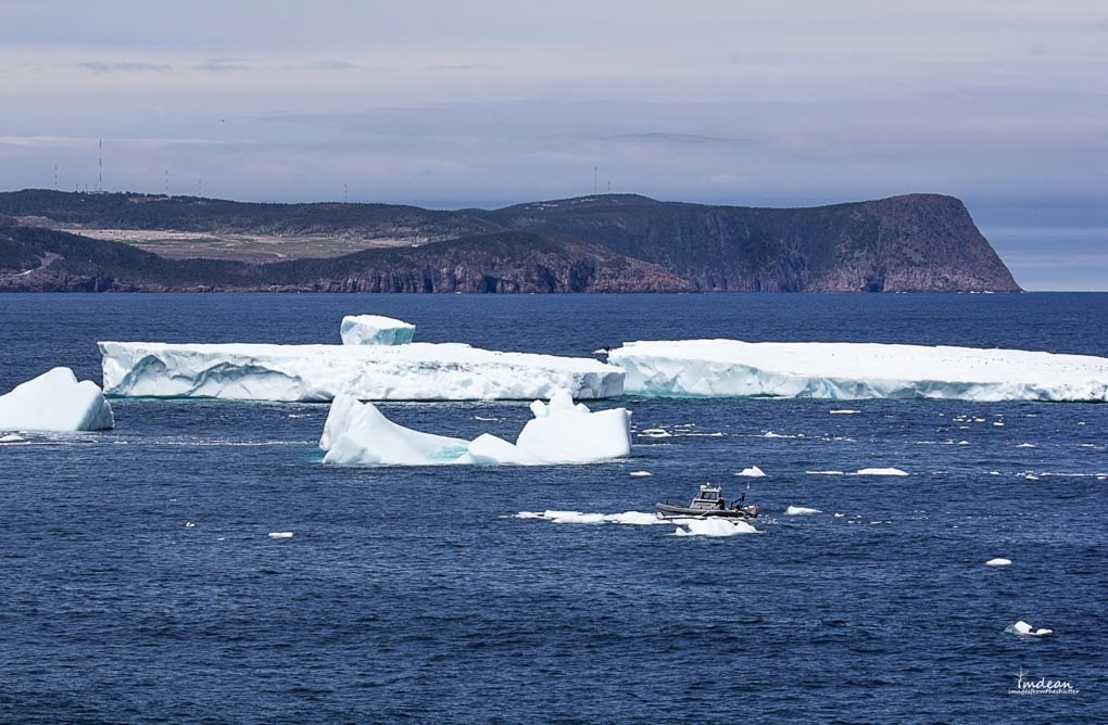 iceberg off canada coast