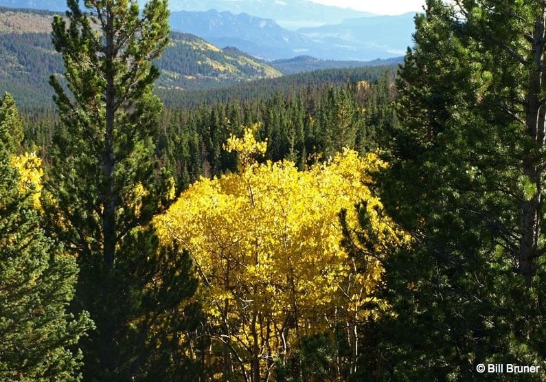 Mills Lake Trail high view