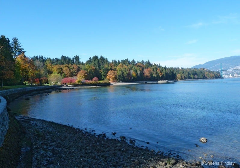 stanley park at Vancouver