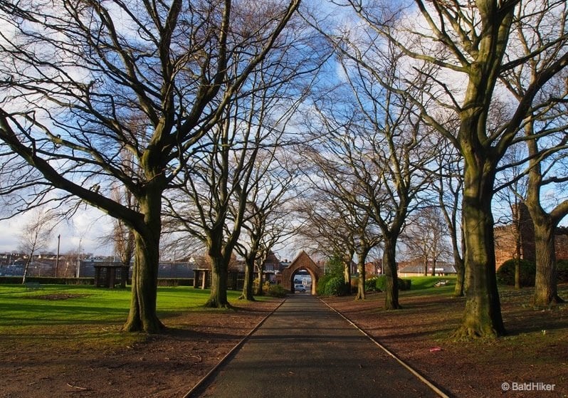 tree lined path