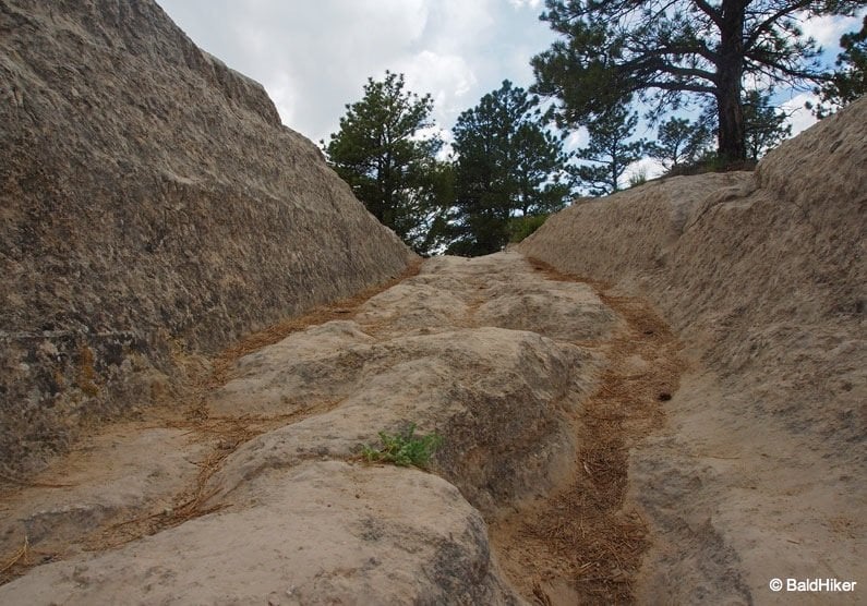 Guernsey Wagon Ruts