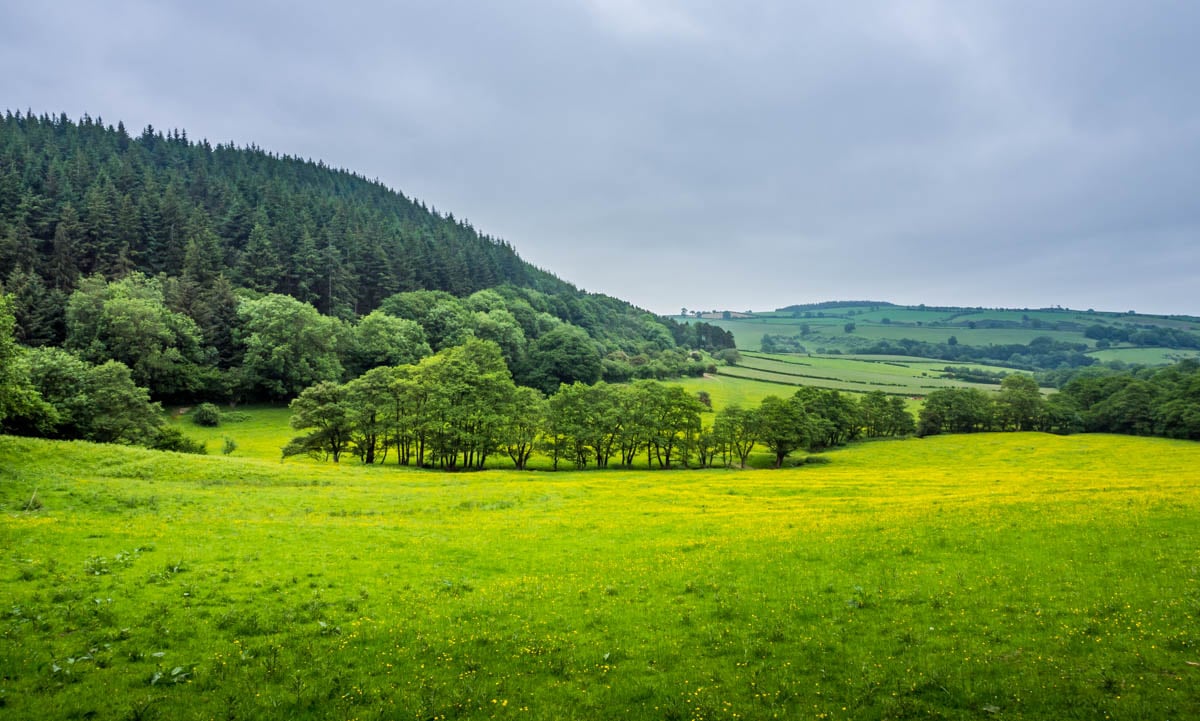 shropshire walk view