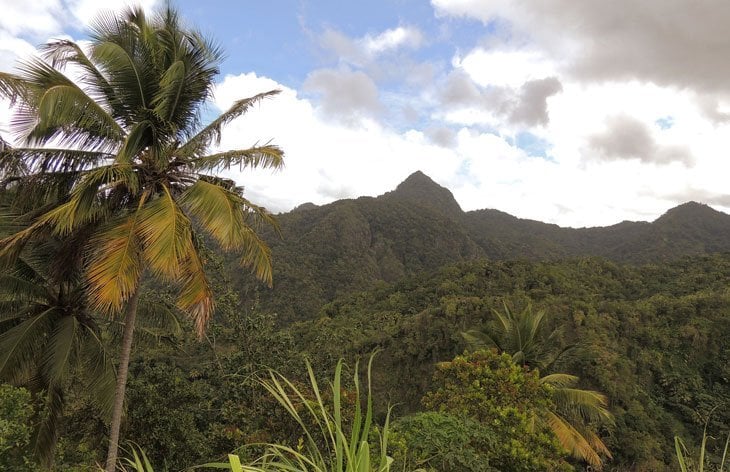 tropical mountains of st lucia