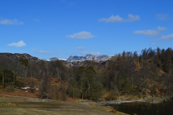 Tarn Hows and langdale pikes behind