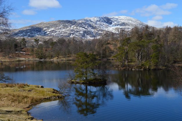 Howse Tarn Tarn Hows Lake District Guide: Accessible Walk Itinerary & Tips | BaldHiker