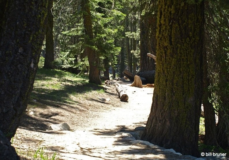 Tokopah Falls – Sequoia National Park on the trail