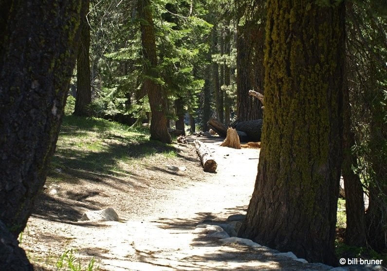 on the trail