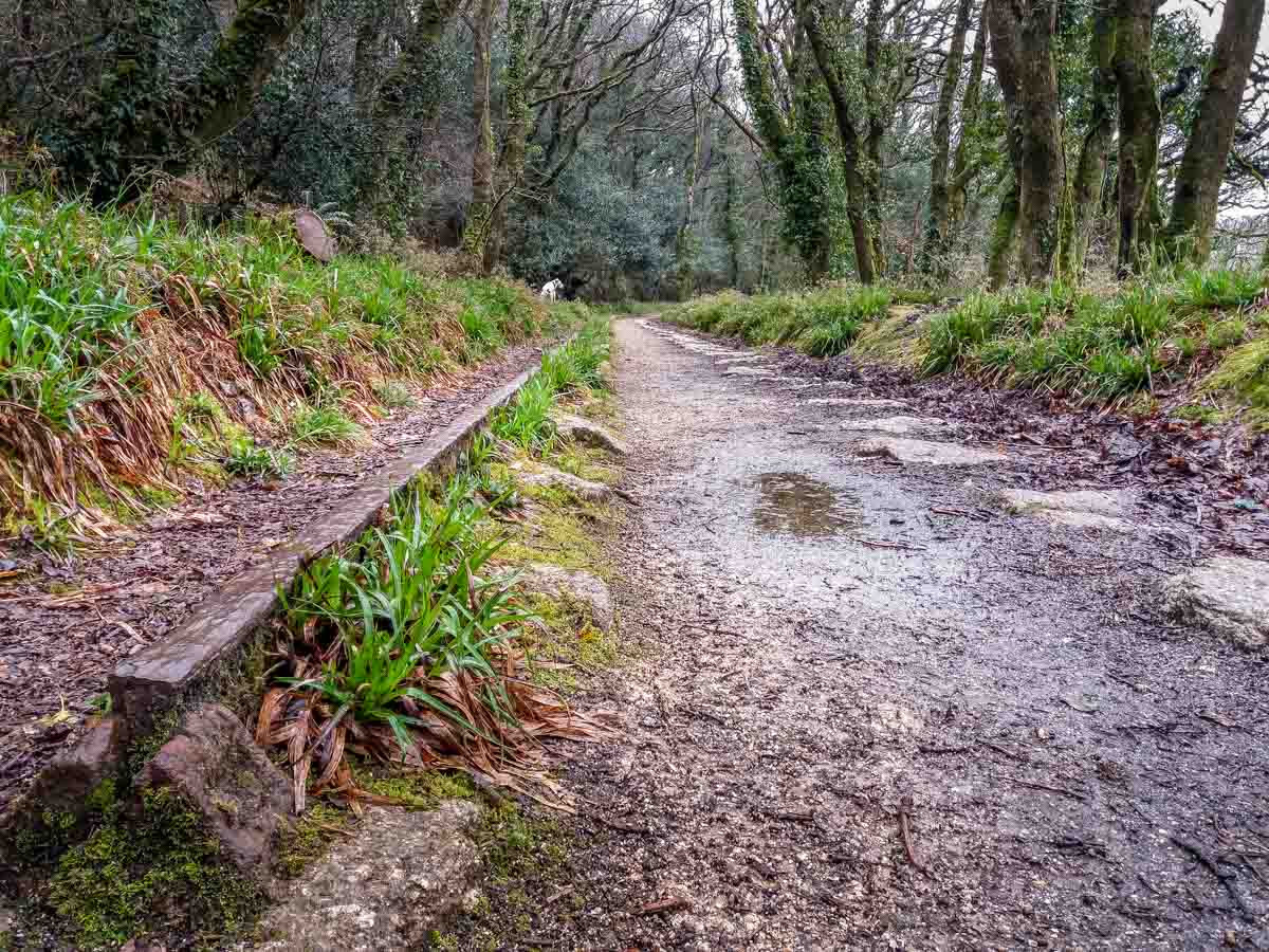 Luxulyan Valley Walk, Cornwall – Industrial Heritage and Natural Beauty 6