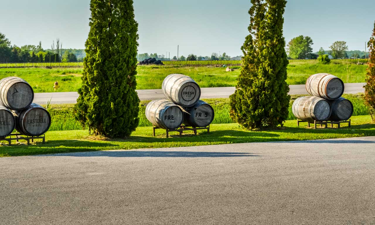 Ice Wine Tasting – Lakeview Wine Co, Niagara-on-the-lake, Canada 4