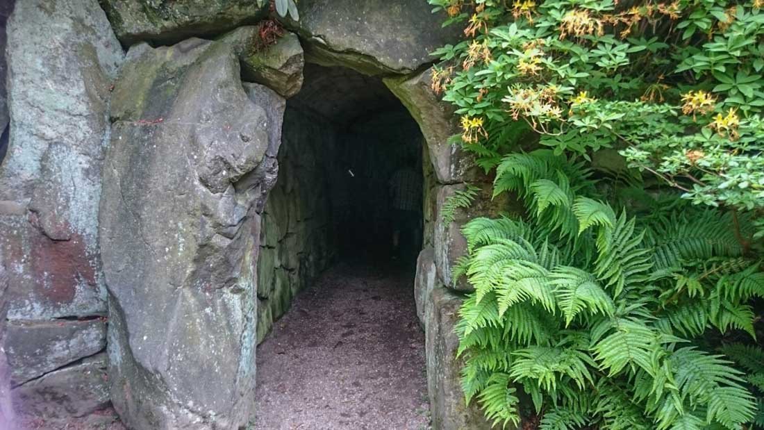 a cave entrance with plants and trees