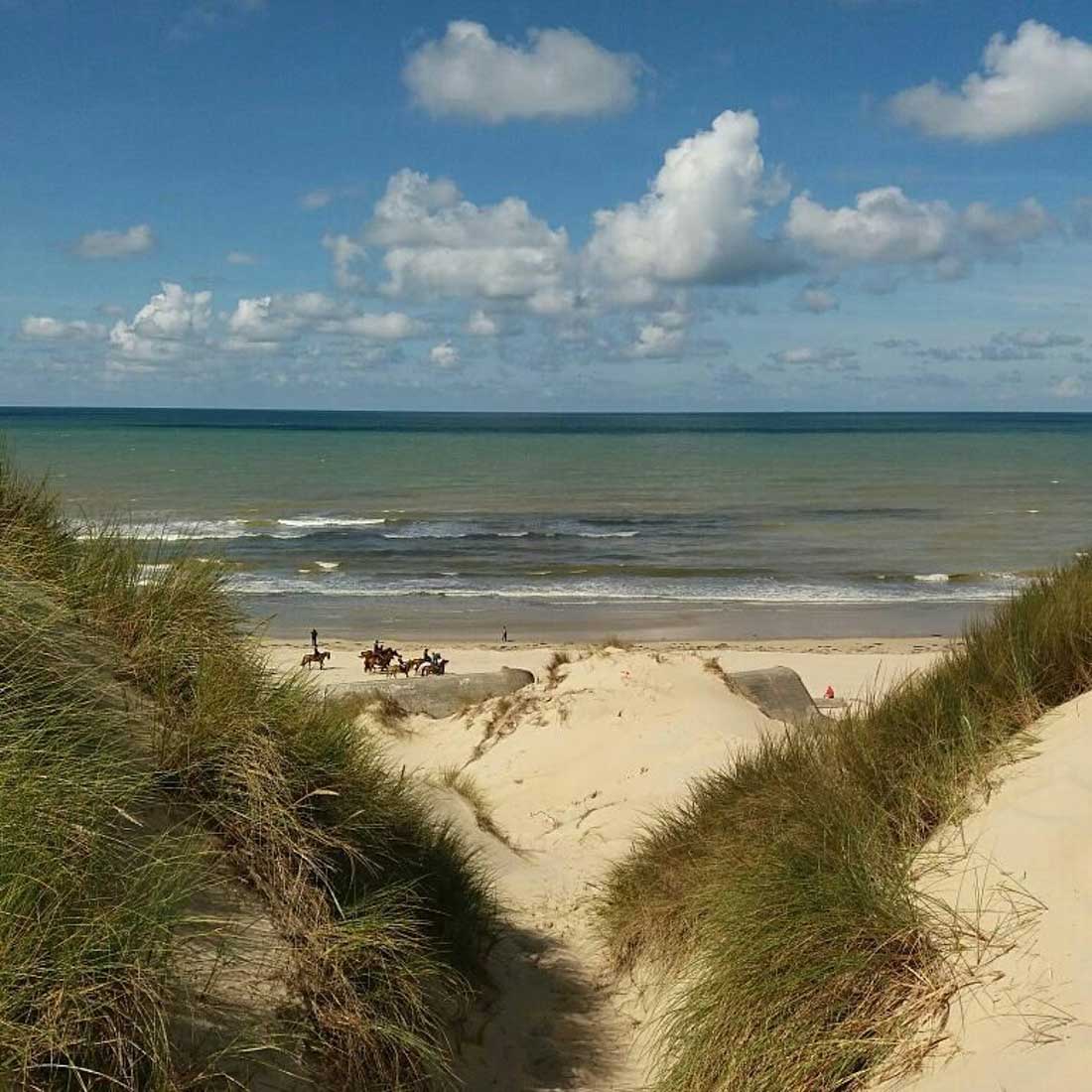 The opal coast dunes