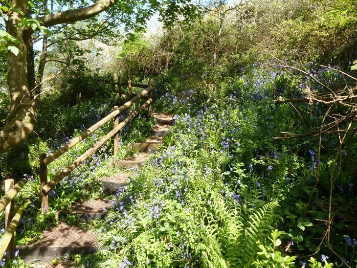 Guernsey - Bluebells, Sunset and Herm Island