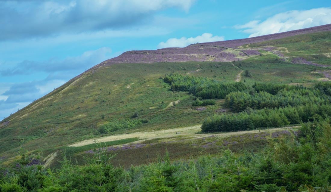 A Walk in The Cleveland Hills and The Lord Stones 7