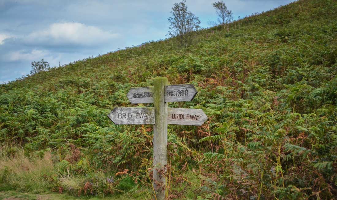 A Walk in The Cleveland Hills and The Lord Stones 8