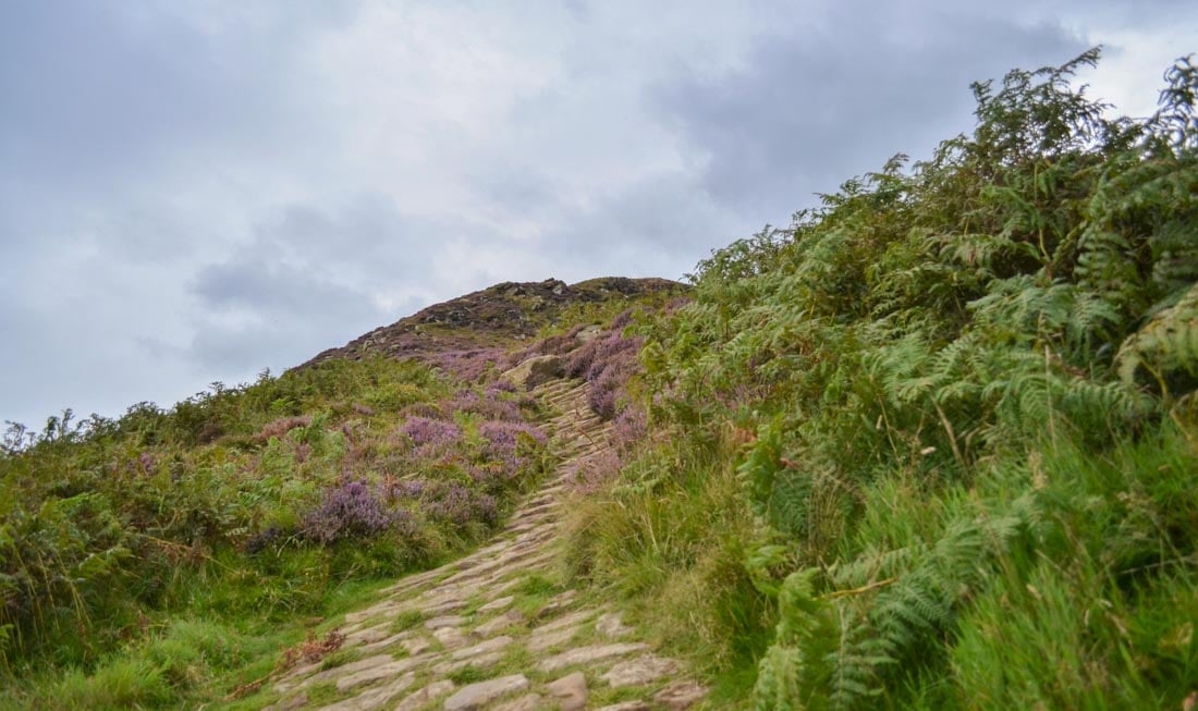 A Walk in The Cleveland Hills and The Lord Stones 4