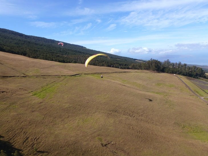 Maui - Flying High in Paradise