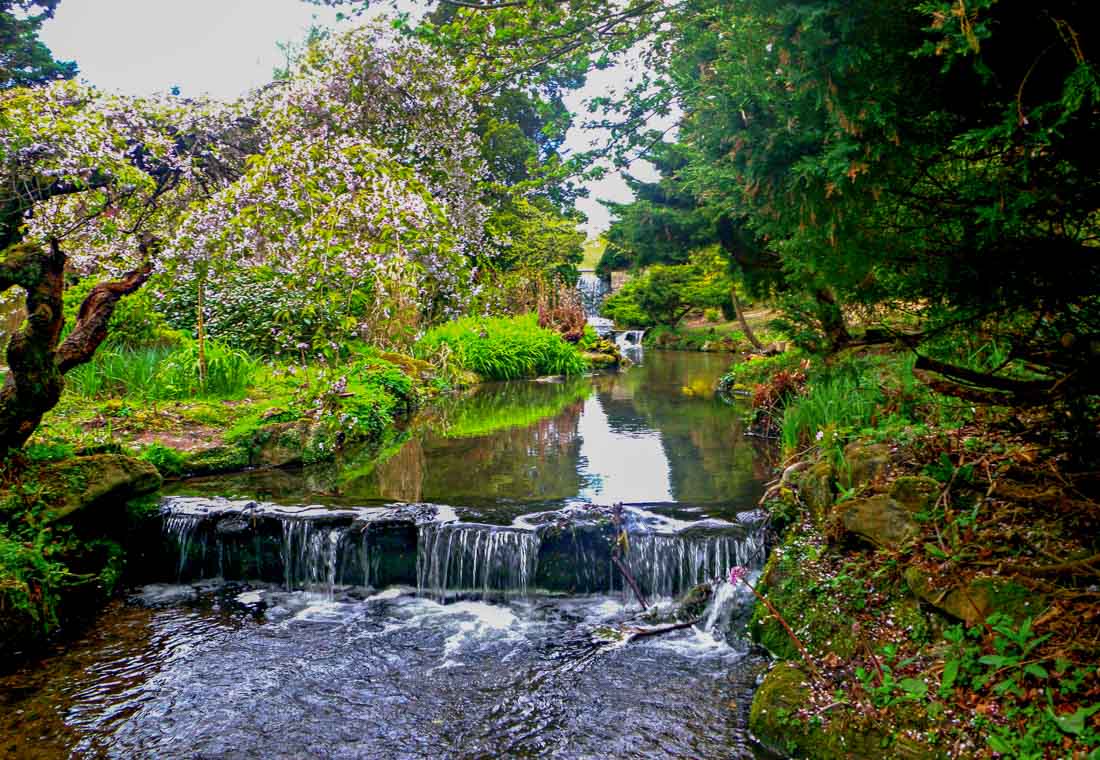 newstead abbey-12