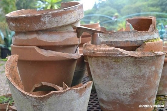 Terracotta pots at Kylemore Abbey