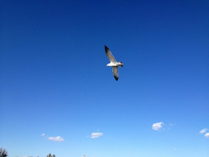 Canada - Paddling Down To Saskatoon