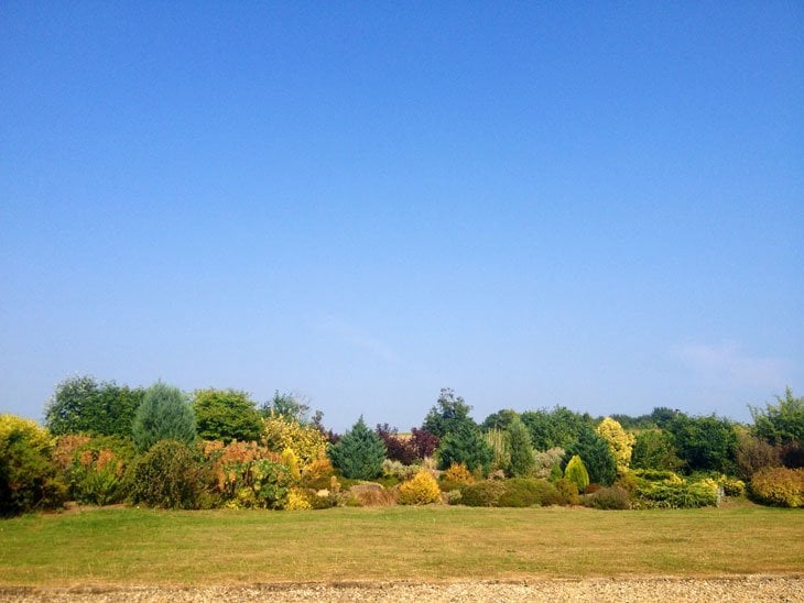 colours outside the window of the room