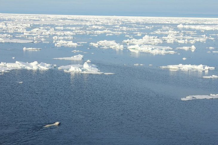 the vast arctic ocean