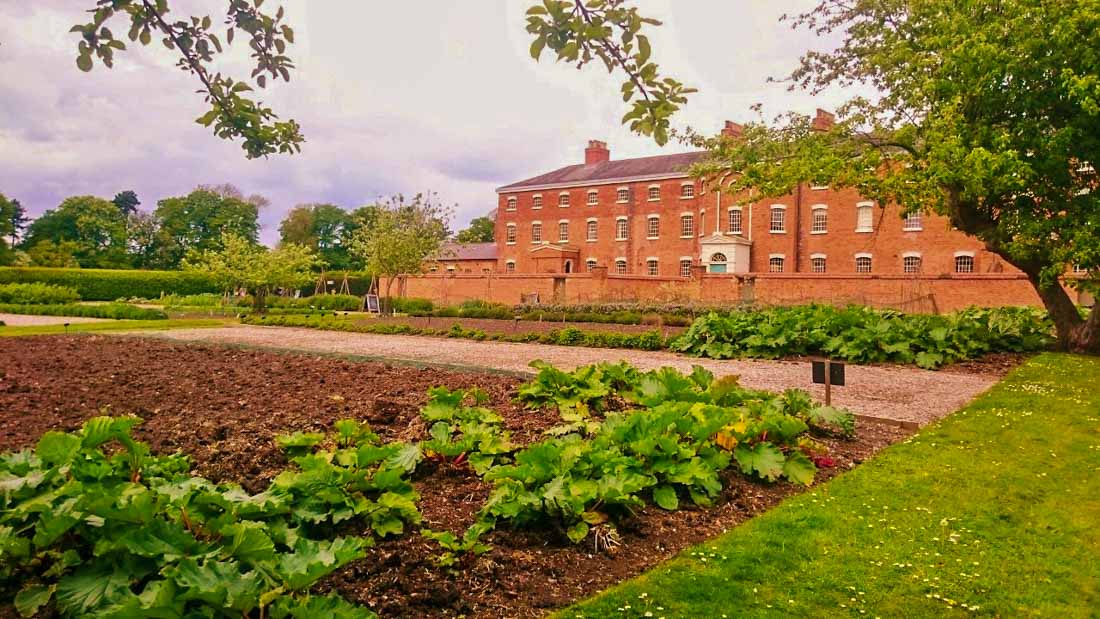 Southwell Workhouse vegetable garden