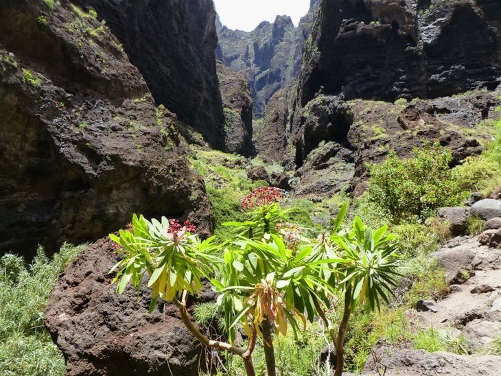 walking back up the gorge