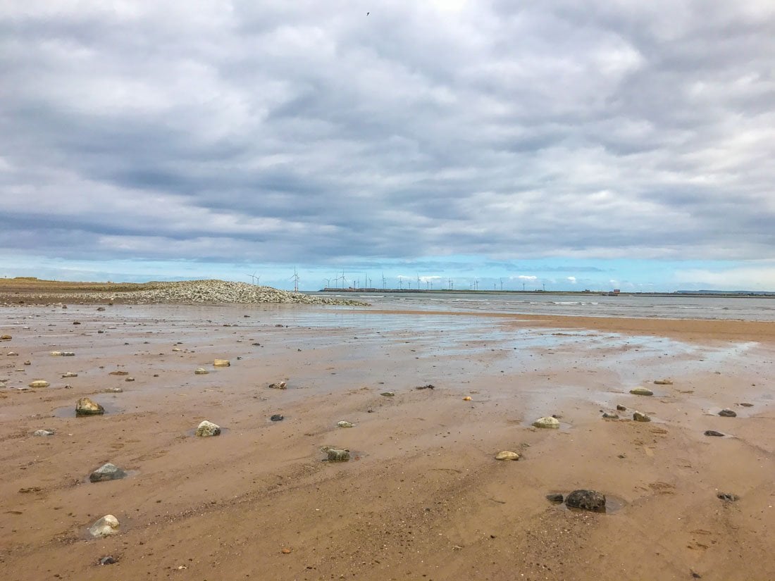 Tees Estuary