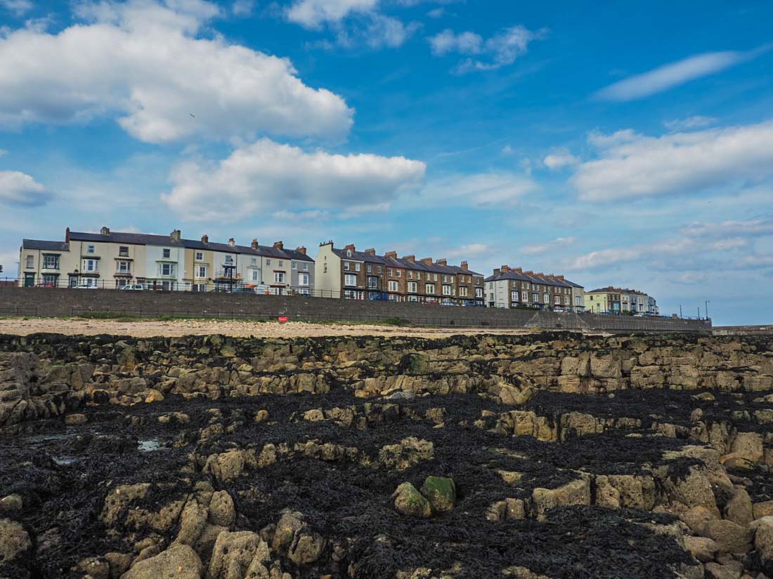 Hartlepool headland houses