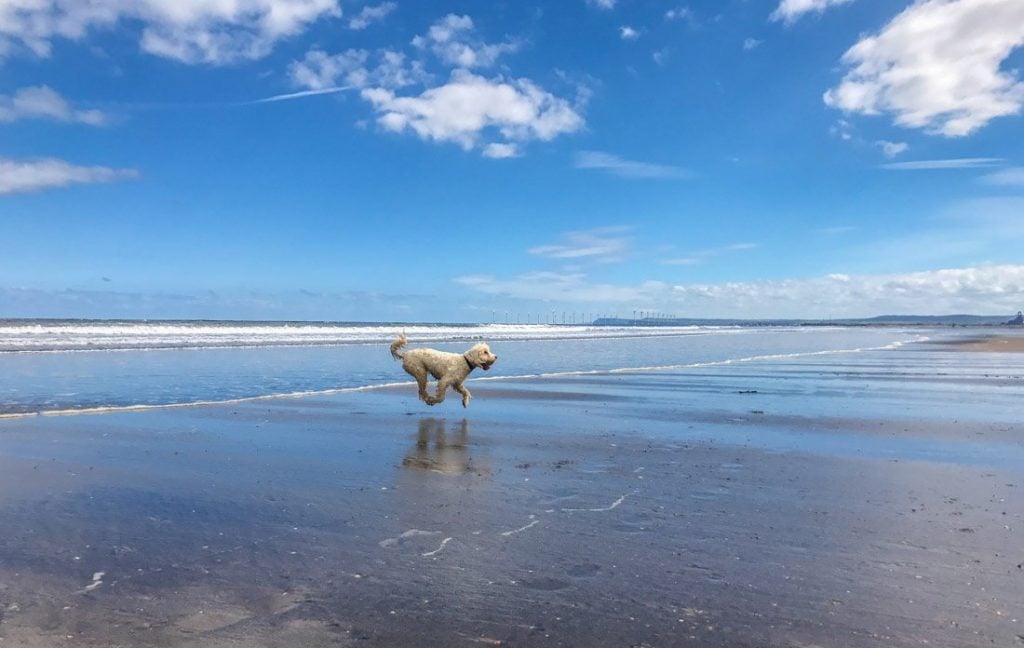 Tyne to Tees Walk: Hartlepool Headland to The Tees
