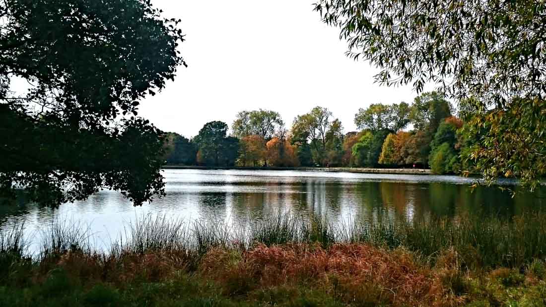 wollaton hall garden lake